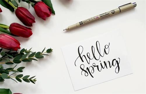 CRA新人初次臨床監(jiān)查的工作總結(圖1)