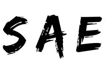 SAE報告不規(guī)范怎么辦？推薦一些SAE報告存在問題的解決方法(圖1)