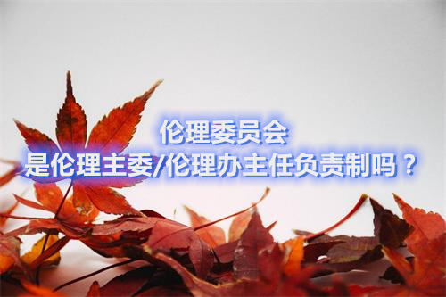 倫理委員會(huì)是倫理主委/倫理辦主任負(fù)責(zé)制嗎？(圖1)