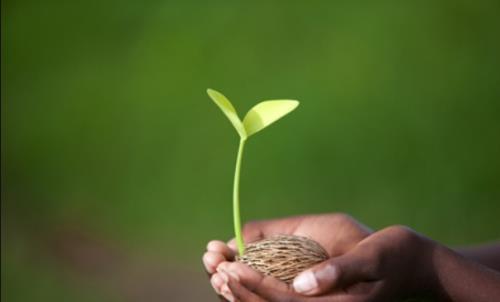 如何成為一名優(yōu)秀的CRC？分享CRC快速成長秘籍(圖1)