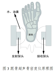 超聲骨密度儀注冊技術(shù)審查指導(dǎo)原則（2017年第180號）(圖3)