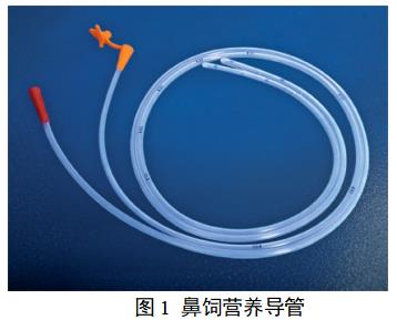 鼻飼營(yíng)養(yǎng)導(dǎo)管注冊(cè)技術(shù)審查指導(dǎo)原則（2018年修訂）（2018年第80號(hào)）(圖1)