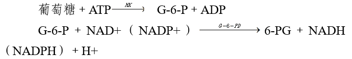 葡萄糖檢測試劑注冊審查指導(dǎo)原則(2024年第19號)(圖1) 葡萄糖檢測試劑注冊審查指導(dǎo)原則(2024年第19號)(圖1)