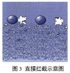 呼吸系統(tǒng)過濾器注冊審查指導(dǎo)原則(2023年第22號)(圖2) 呼吸系統(tǒng)過濾器注冊審查指導(dǎo)原則(2023年第22號)(圖2)