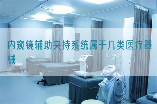 內(nèi)窺鏡輔助夾持系統(tǒng)屬于幾類(lèi)醫(yī)療器械(圖1)