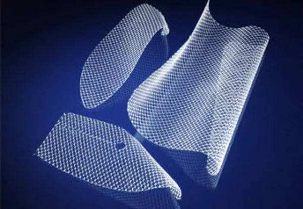 疝修補(bǔ)補(bǔ)片臨床試驗(yàn)指導(dǎo)原則(2020年第48號)(圖1) 疝修補(bǔ)補(bǔ)片臨床試驗(yàn)指導(dǎo)原則(2020年第48號)(圖1)