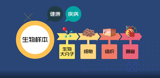 淺談CRC生物樣本管理！生物樣本采集、處理、存儲(chǔ)、運(yùn)輸全過(guò)程注意事項(xiàng)(圖1)