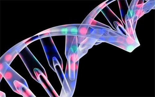 生物相容性是什么意思？怎么判斷醫(yī)療器械要做哪些生物相容性測(cè)試項(xiàng)目？(圖1)