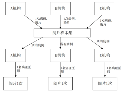 PD-L1檢測試劑臨床試驗(yàn)—結(jié)果重現(xiàn)性研究注冊審查指導(dǎo)原則(2022年第27號(hào))(圖5) PD-L1檢測試劑臨床試驗(yàn)—結(jié)果重現(xiàn)性研究注冊審查指導(dǎo)原則(2022年第27號(hào))(圖5)