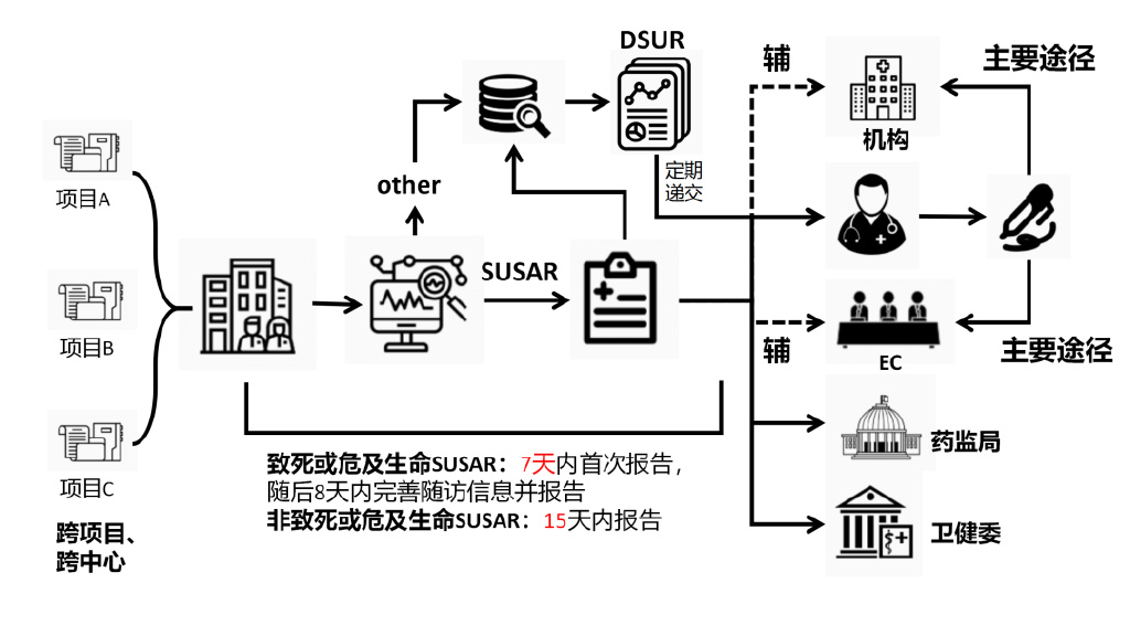 臨床試驗安全性事件如何上報？臨床試驗不良事件上報流程圖(圖3)